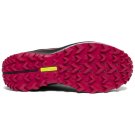 Sacony Peregrine10 W